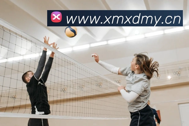 世界杯直播入口官网服务体系